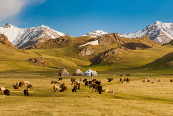 Фотография к новости: Полиция поймала сбежавшего насильника на джайляу