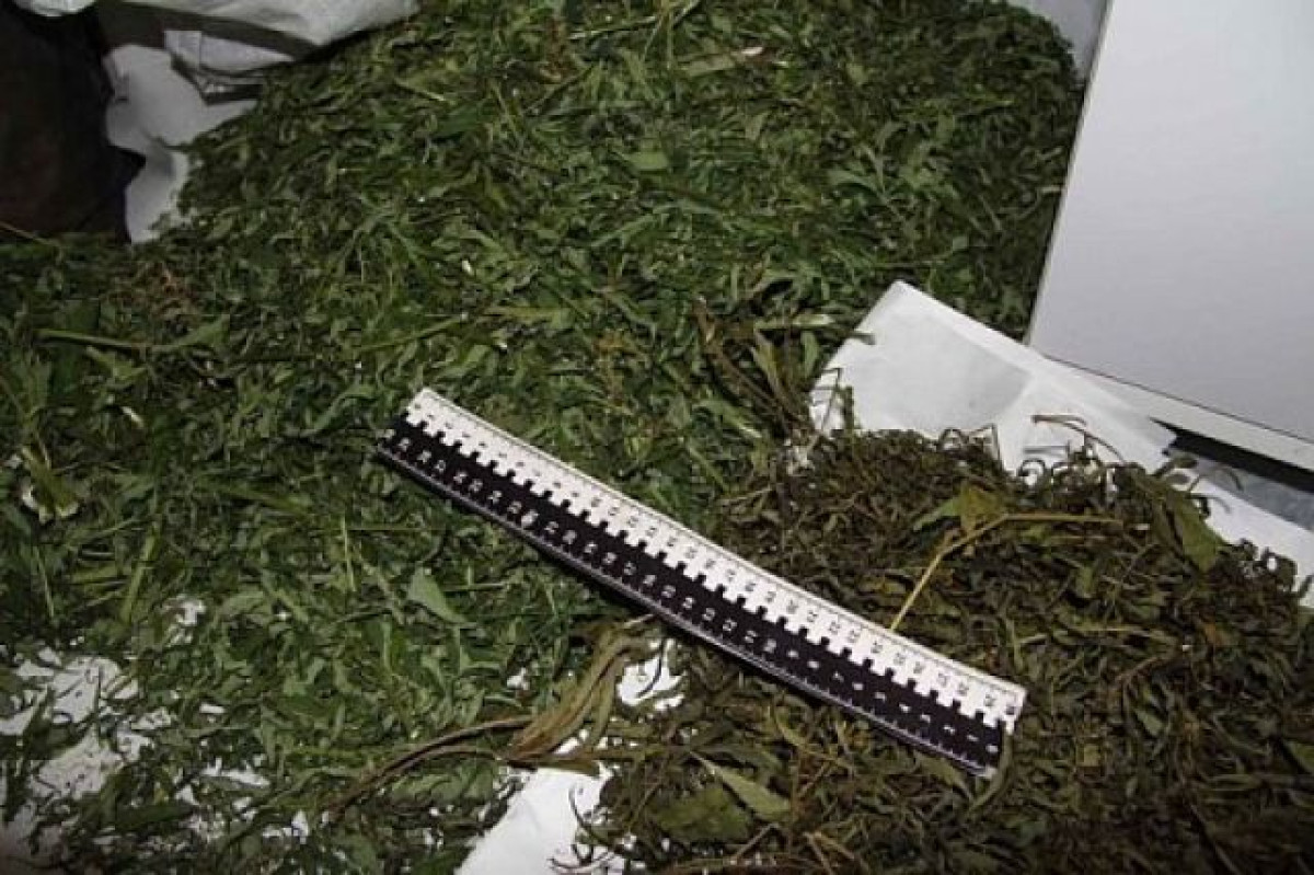  иллюстративное