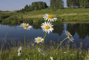 Фотография к новости: Синоптики рассказали о погоде в Казахстане 22 июня