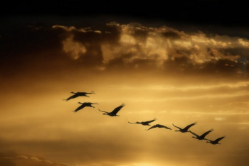 Фотография к новости: Из Казахстана эмигрируют преимущественно городские жители