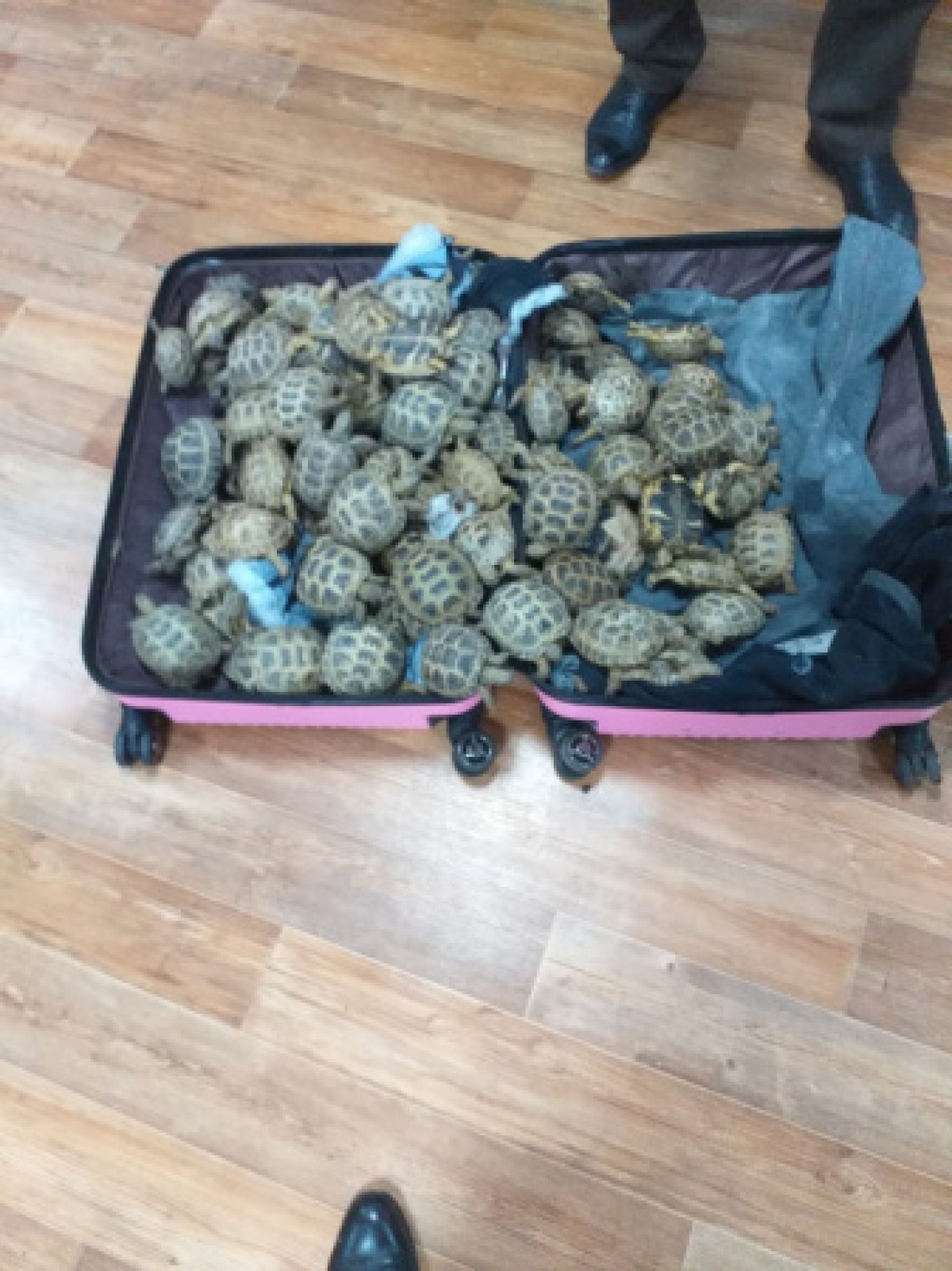  пресс-служба КНБ РК