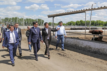 Фотография к новости: Карагандинская область планирует экспортировать в Узбекистан до 40 тысяч голов КРС