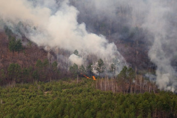 Фотография к новости: Во Франции тушат природные пожары, вызванные рекордной жарой