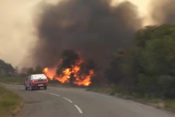 Фотография к новости: Из-за аномальной жары во Франции вспыхнули природные пожары
