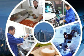 Фотография к новости: Количество активных малых компаний выросло за год на 11%