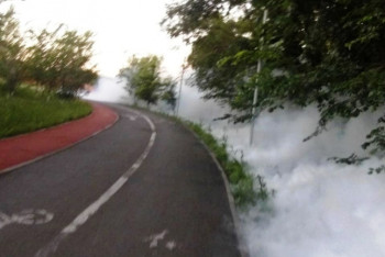 Фотография к новости: Как ведется обработка от комаров в столице