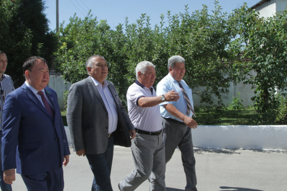  Фото предоставлено филиалом Nur Otan по Жамбылской области 