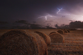 Фотография к новости: В Монголии от удара молнии погибли 738 животных