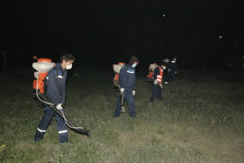 Фотография к новости: В столице Казахстана продолжают травить комаров