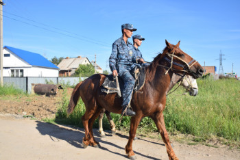 Фотография к новости: 700 правонарушителей оштрафовали конные полицейские в Акмолинской области