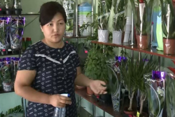 Фотография к новости: Жители Туркестанской области открывают бизнес благодаря АСП