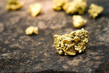 Фотография к новости: Полицейская мафия Степногорска осуждена за покровительство "золотым" контрабандистам