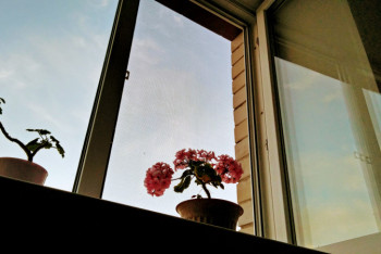 Фотография к новости: В Петропавловске мужчина спас ребенка, едва не упавшего с 4-го этажа