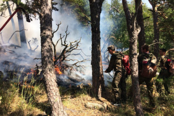 Фотография к новости: Пожар в Боровом на горе Жеке Батыр оперативно локализован