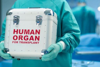 Фотография к новости: МВД Казахстана расследует незаконное изъятие человеческих органов