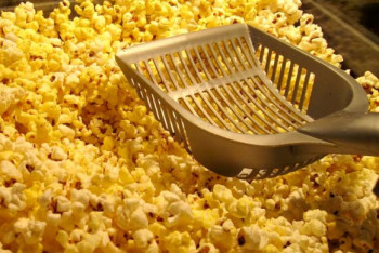 Фотография к новости: Предпринимательница из Кызылорды открыла производство местного попкорна