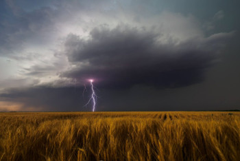 Фотография к новости: Синоптики рассказали о погоде в Казахстане 24 июля