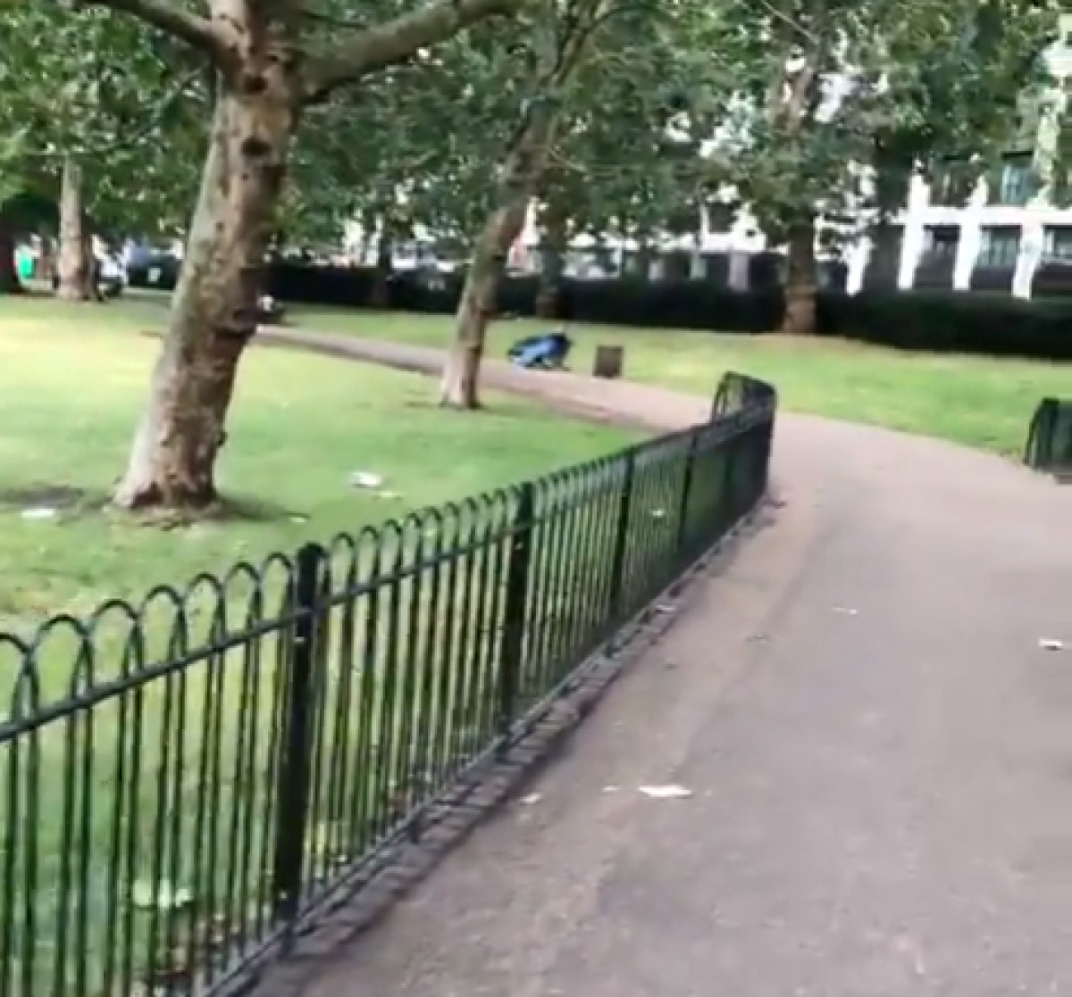  кадр из видео