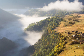 Фотография к новости: Микроавтобус с пассажирами сорвался в ущелье в Грузии