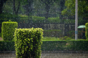 Фотография к новости: Синоптики рассказали о погоде в Казахстане 30 июля