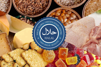 Фотография к новости: Мамин поручил развивать экспорт халал продукции