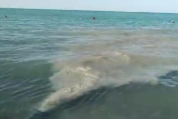 Фотография к новости: Грязная вода из трубы льётся прямо в Алаколь - туристы сняли видео