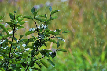 Фотография к новости: Синоптики рассказали о погоде в Казахстане 1 августа