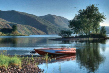 Фотография к новости: Какой ущерб нанесен природе в первом полугодии, подсчитали в Акмолинской области 