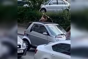 Фотография к новости: Погибший при нападении мигранта в Германии не имеет никакого отношения к Казахстану