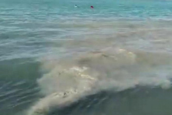 Фотография к новости: Что обнаружили в грязной воде  Алаколя