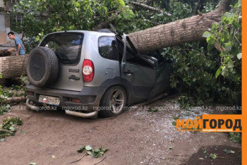 Фотография к новости: Ураганный ветер в ЗКО повалил деревья, разбил автомобили и сорвал кровлю школ