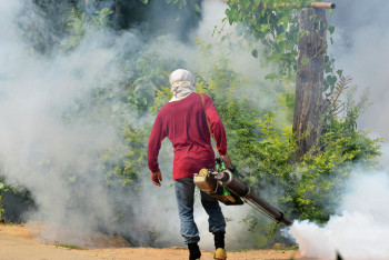 Фотография к новости: Эпидемия лихорадки унесла сотни жизней на Филиппинах