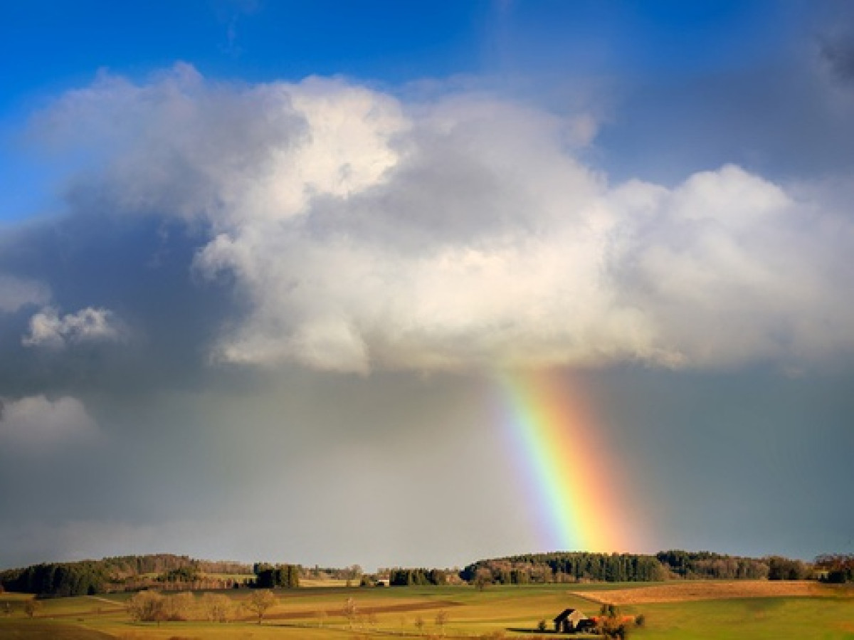  иллюстративное 