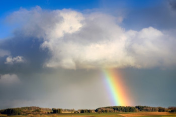 Фотография к новости: Ослабление жары и кратковременные дожди с грозами ожидаются на юге РК
