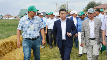 Фотография к новости: День поля прошел в Алматинской области