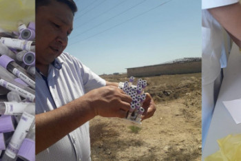 Фотография к новости: Медотходы с кровью нашли рядом с жилым массивом в Актау