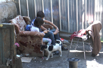 Фотография к новости: Около 500 фактов бытового насилия выявлено за сутки в Казахстане