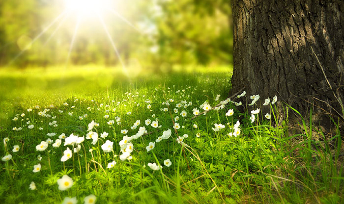  иллюстративное