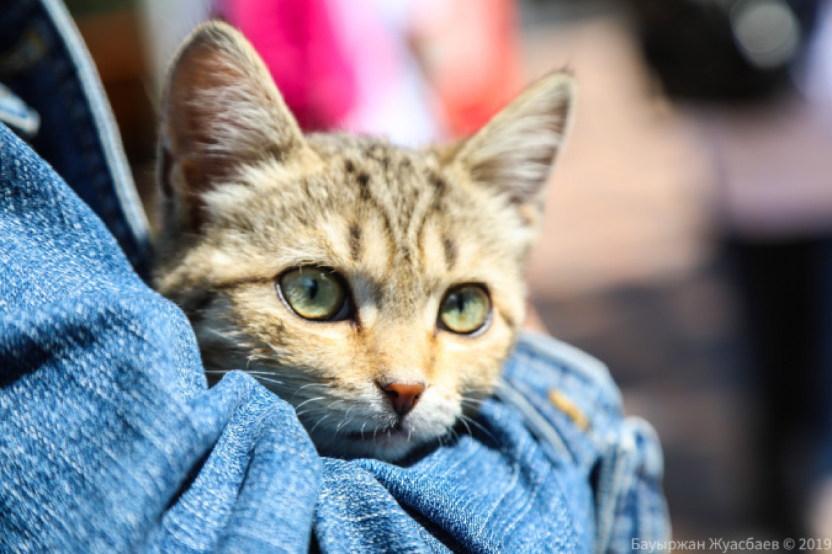  Бауржан Жуасбаев