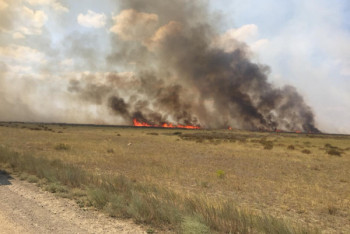 Фотография к новости: Почти сутки тушат степной пожар в ВКО
