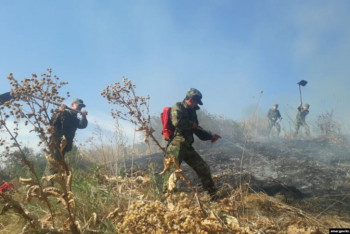 Фотография к новости: Еще один пожар произошел в горах в Алматы