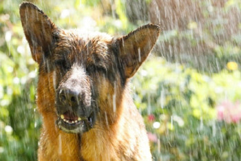 Фотография к новости: Неустойчивую погоду обещают казахстанцам 12 августа 