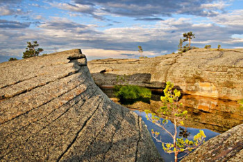 Фотография к новости: В Казахстане иностранных экспертов привлекут для развития экотуризма