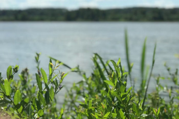 Фотография к новости: На массовую очистку водоемов позвали казахстанцев
