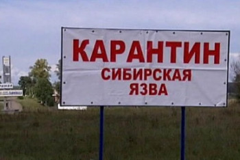 Фотография к новости: Из-за сибирской язвы карантин объявлен в одном из сел Акмолинской области