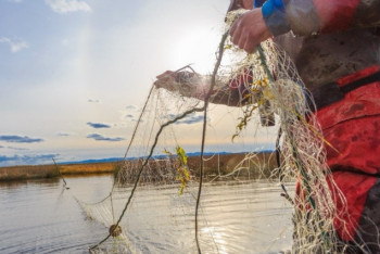 Фотография к новости: Глава МВД рассказал о драке на озере Маралды