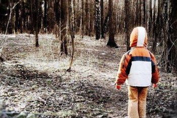 Фотография к новости: Заблудившуюся в лесу под Нижним Новгородом девочку нашли живой