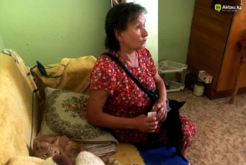 Фотография к новости: 40 проживающих в квартире кошек стали причиной конфликта в Актау  