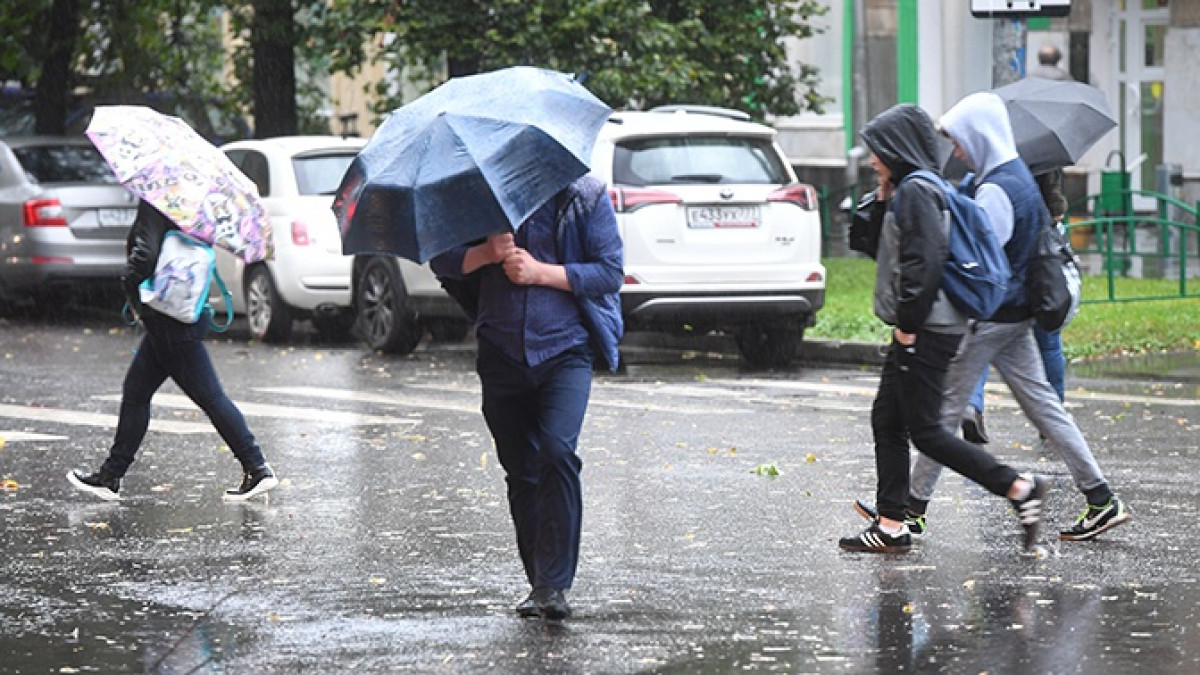  иллюстративное 