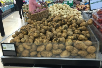 Фотография к новости: Как проверяют на безопасность плодоовощную продукцию в СКО